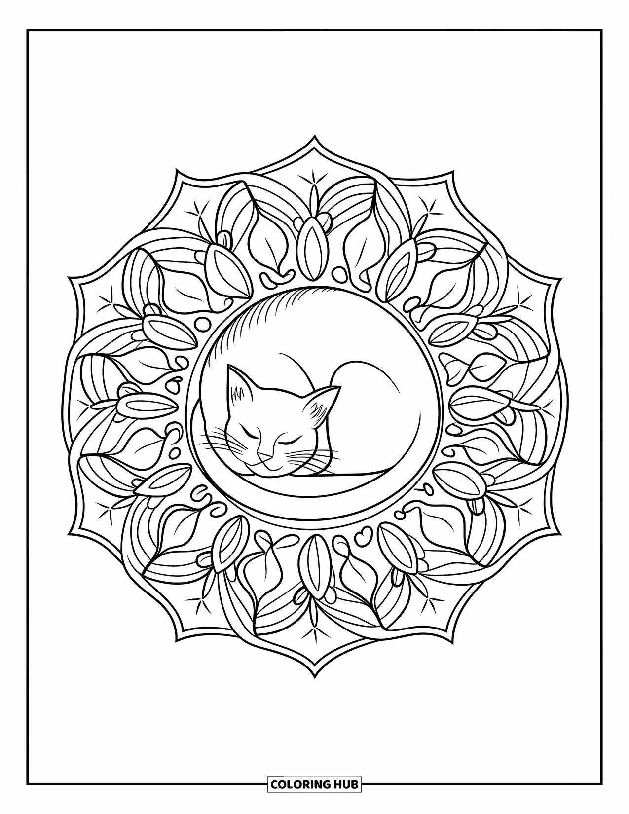 Cat Mandala Coloring Page for Adults: Curled cat at the center of a botanical mandala with leaves and vines