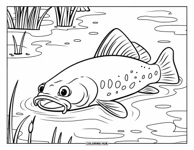 50+ Coloriages de poisson-chat pour enfants et adultes (Gratuits)