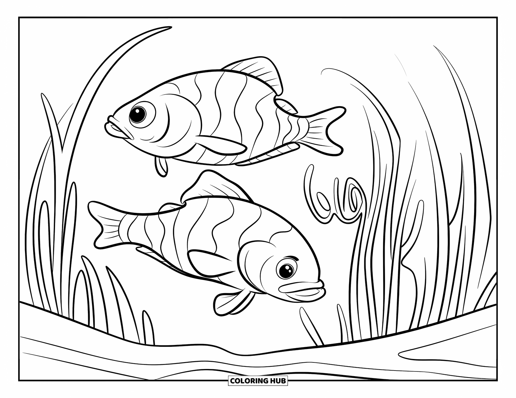 Catfish Coloring Page for Kids: Two rounded catfish glide near dense reeds in soft water