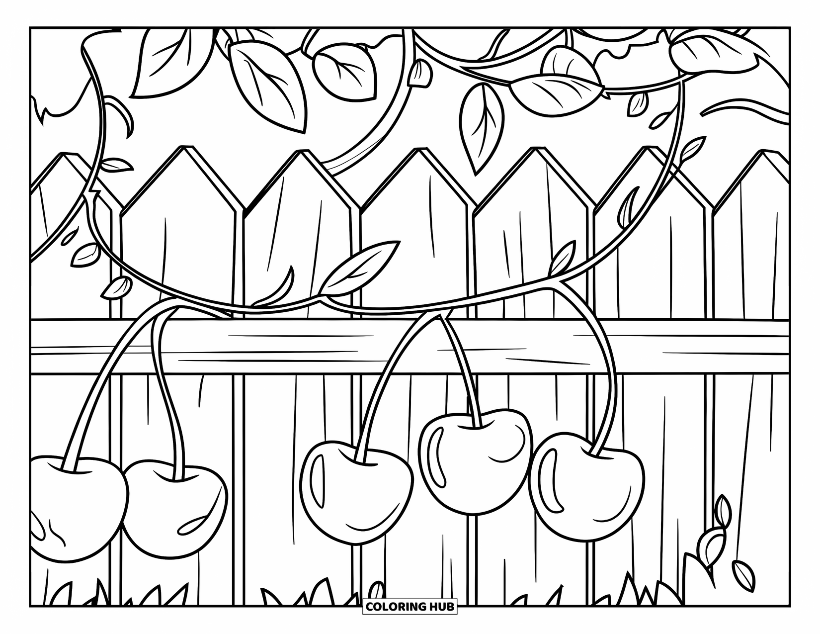Cherry Coloring Page for Kids: A wooden fence holds soft vines with cherries hanging above