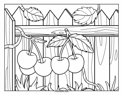 Coloriage de cerises pour enfants : Des cerises pendent au-dessus d'une clôture en bois enveloppée de douces vignes