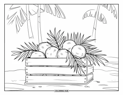 Coloriage de noix de coco pour enfants : Caisse de noix de coco posée sur le sable avec des palmiers en arrière-plan
