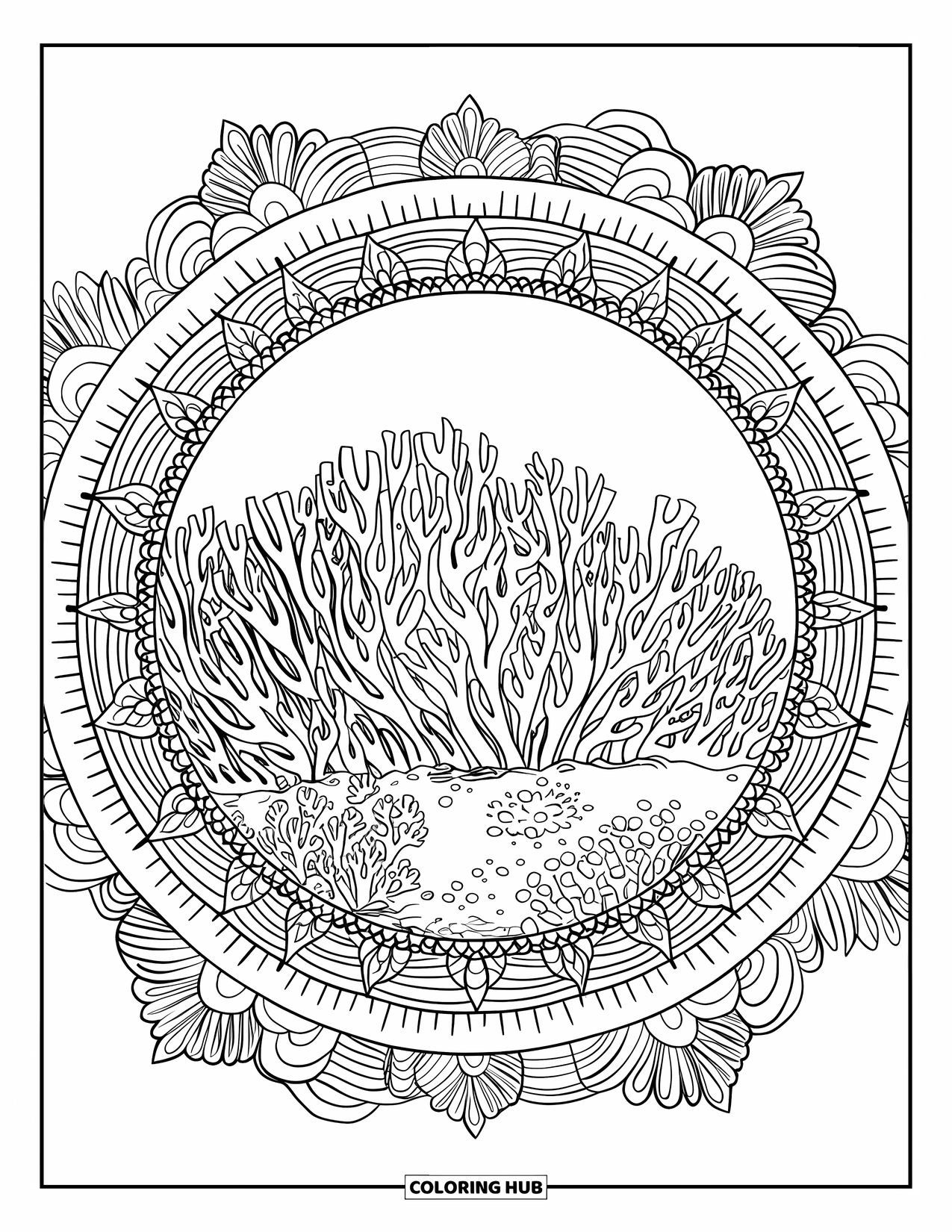 Coral Reef Coloring Page for Adults: A central coral patch is surrounded by reef mandala rings filled with flowing shapes