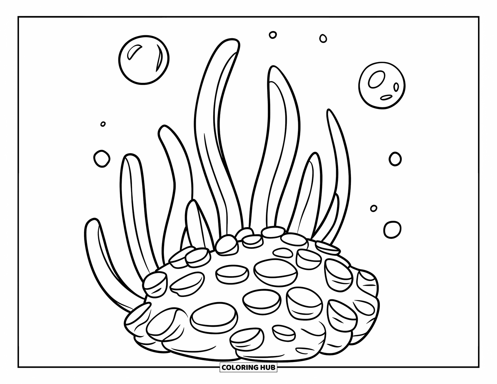 Coral Reef Coloring Page for Kids: Playful coral and seaweed with bubbles in a simple white setting