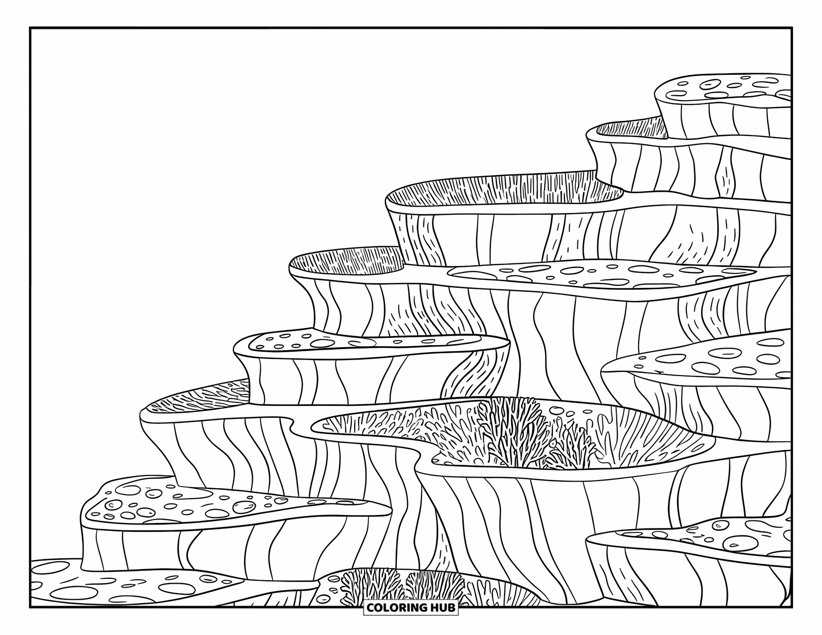 Coral Reef Coloring Page for Kids: Textured coral ridge with tidepools and hidden ocean life