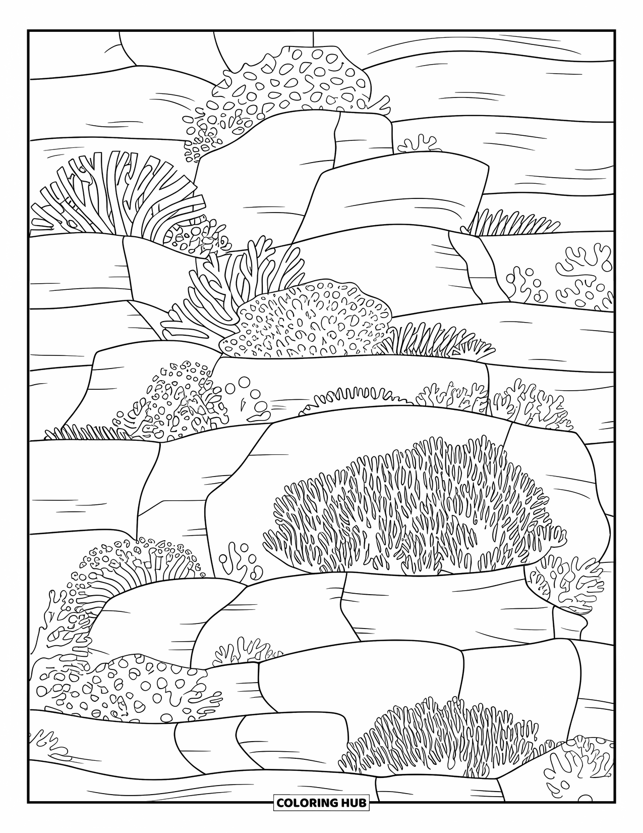 Coral Reef Coloring Page for Kids: Textured coral wall with rock layers and delicate marine plants