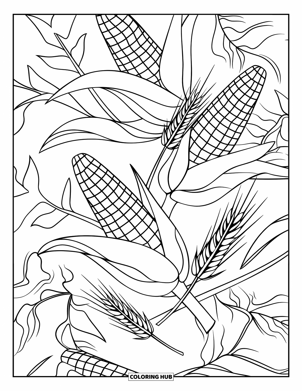 Corn Coloring Page for Kids: Corn, leaves, and wheat twist and spiral in a lively patterned design