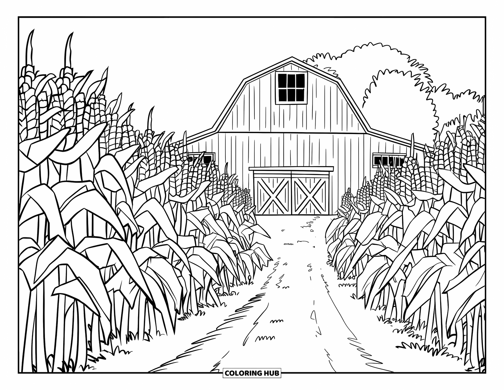 Corn Coloring Page for Kids: Corn surrounds a path leading to a small barn with trees nearby