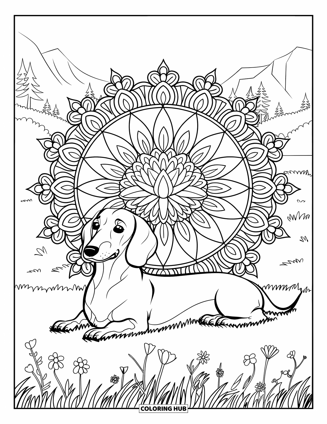 Dachshund Coloring Page for Adults: A dachshund lies on grass among blooming flowers and a mandala with lotus in the center