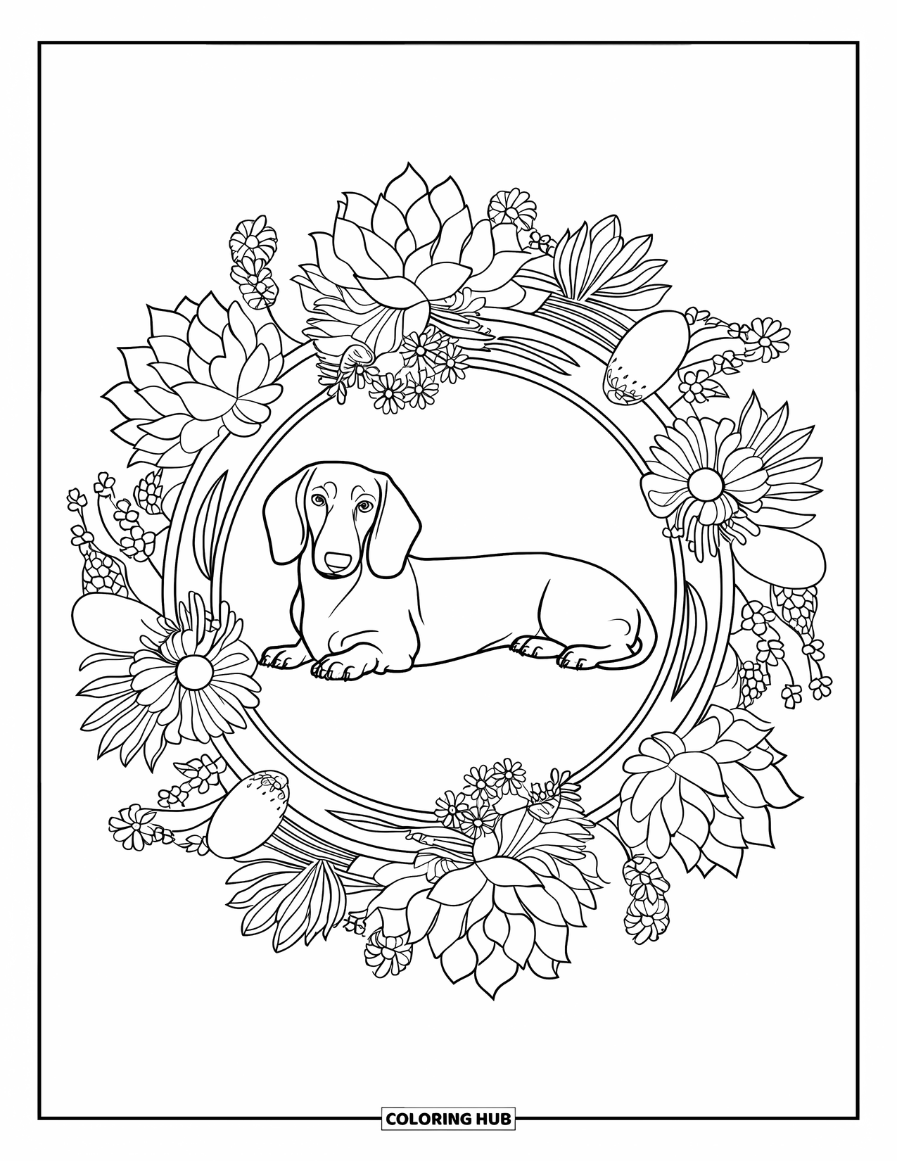 Dachshund Coloring Page for Adults: A dachshund relaxes in a floral mandala with blooming wildflowers and pods