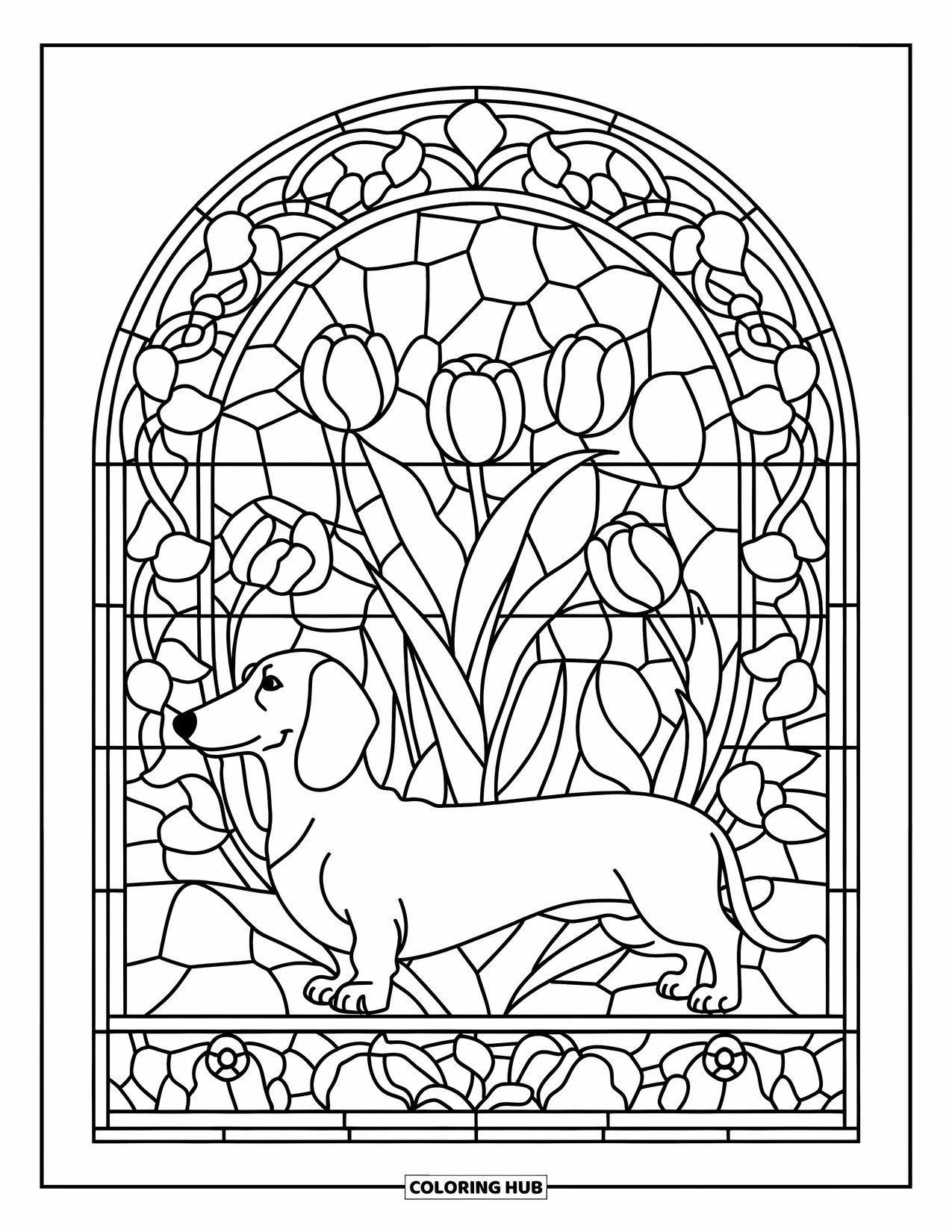 Dachshund Coloring Page for Adults: A dachshund stands in front of a stained glass window filled with ivy and tulips