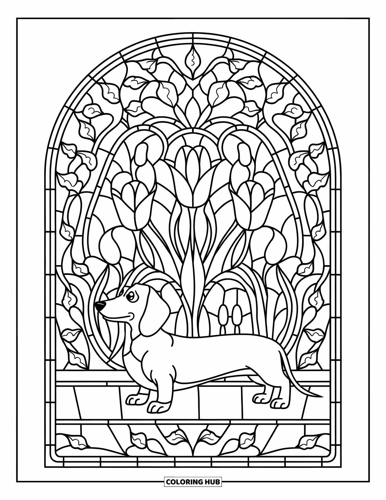 Dachshund Coloring Page for Adults: A dachshund stands on stone framed by stained glass ivy and tulip designs