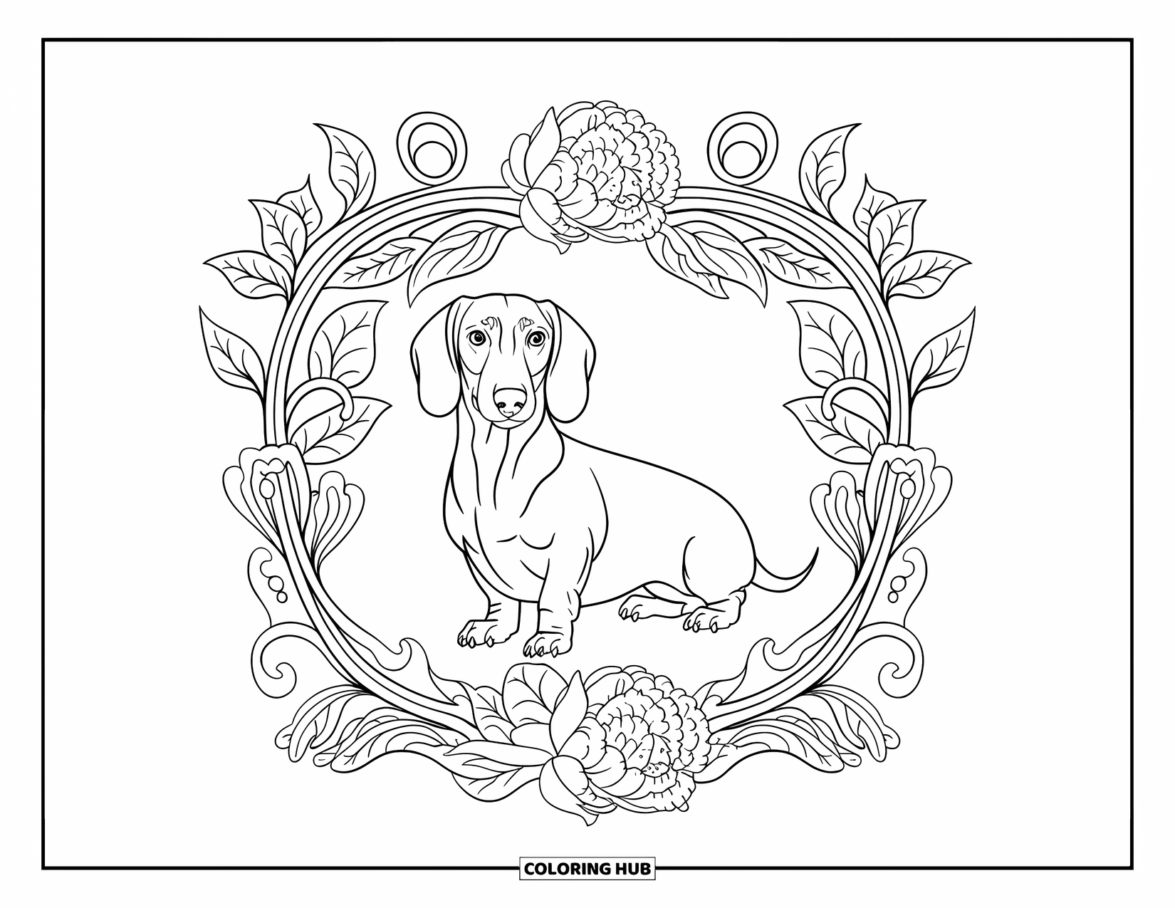 Dachshund Coloring Page for Adults: A playful dachshund sits in a detailed floral frame with curling vines and peonies