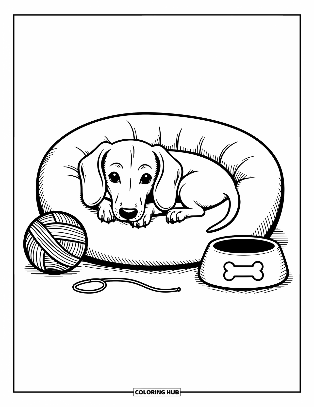 Dachshund Coloring Page for Adults: Sleepy pup snuggles in a donut bed with a food bowl and yarn ball