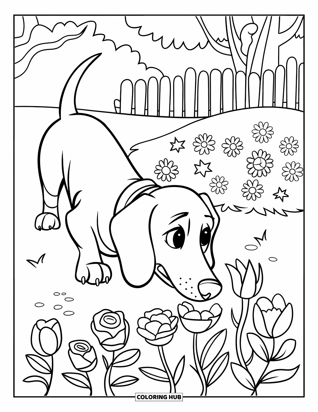 Dachshund Coloring Page for Kids: Dachshund sniffs tulips, daisies, and roses near a quiet fence