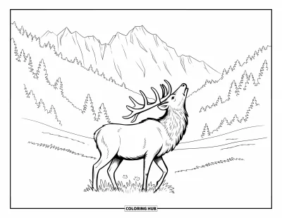 Desen de colorat cu wapiti pentru adulți: Wapiti într-o poieniță de munte privind în sus, înconjurat de păduri și vârfuri