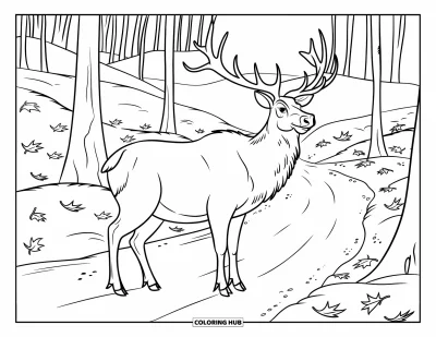 Desen de colorat cu wapiti pentru copii: Wapiti mare stând pe un drum de pământ printr-o pădure cu vârfuri de munți în depărtare