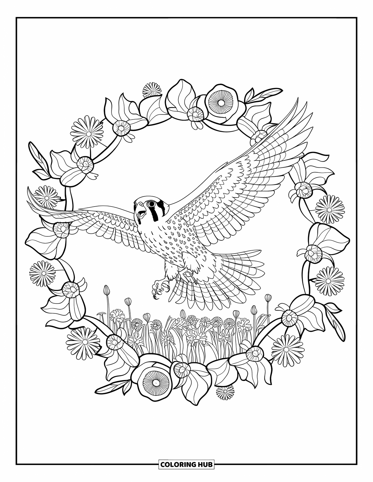 Falcon Coloring Page for Adults: Falcon soars over a field of flowers framed by a floral mandala