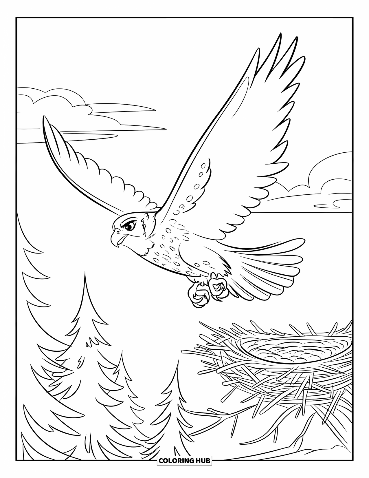 Falcon Coloring Page for Kids: Falcon glides calmly over a forest and clear sky