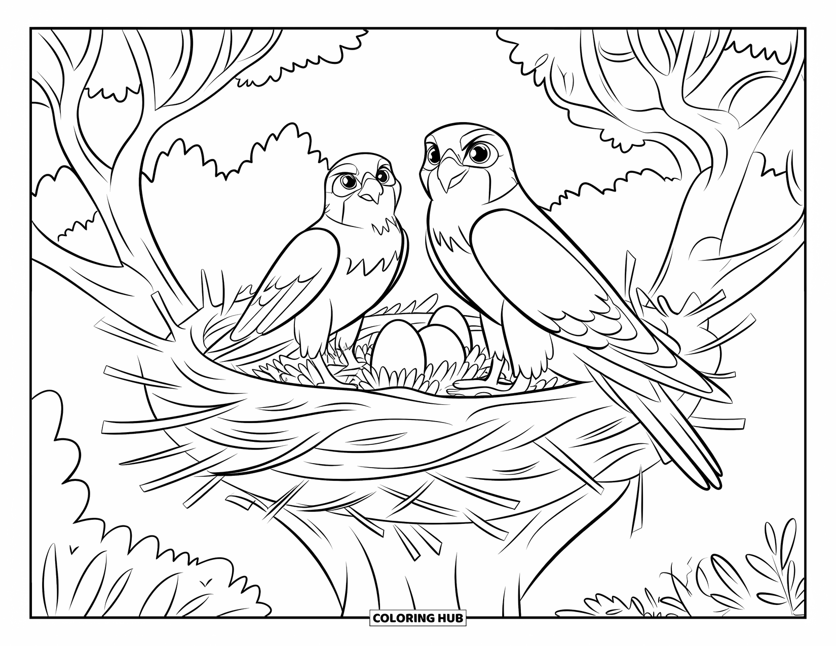 Falcon Coloring Page for Kids: Falcon parents guard their nest filled with eggs and twigs