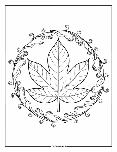 Coloriage de feuilles d'automne pour adultes : Une grande feuille nervurée est encerclée de vignes délicates et de volutes gracieuses