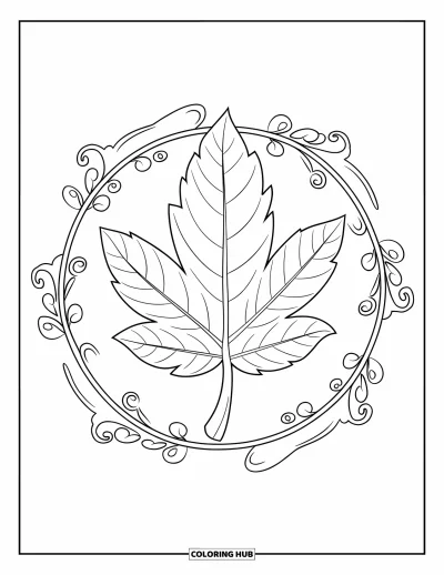 Coloriage de feuilles d'automne pour adultes : Une feuille nervurée à la tige ondulée est enveloppée dans un cercle de vignes ornementales