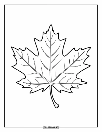 Coloriage de feuilles d'automne pour enfants : Une feuille d'érable bien centrée aux lignes affirmées, avec une tige visible