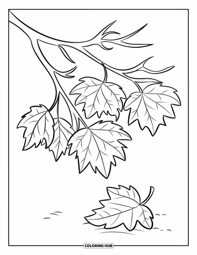 Coloriage de feuilles d'automne pour enfants : Une branche retient plusieurs feuilles d'automne tandis qu'une feuille dérive doucement vers le sol