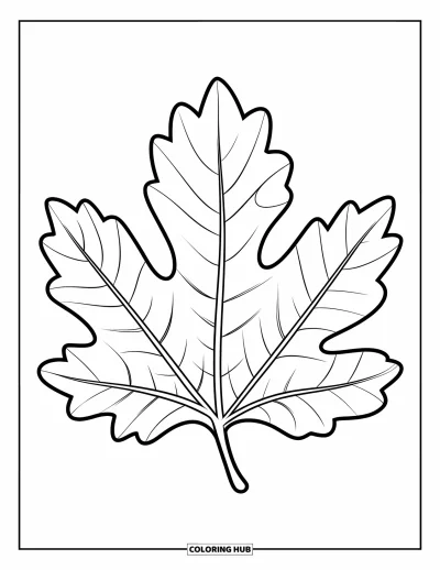 Coloriage de feuilles d'automne pour enfants : Une feuille de marronnier aux courbes douces et aux larges lobes repose à plat dans un style simple