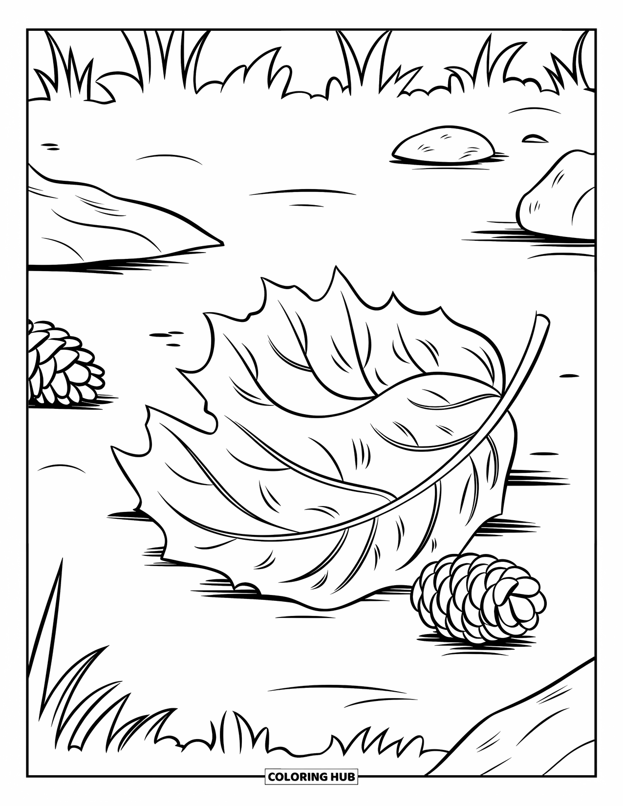 Fall Leaves Coloring Page for Kids: A curled birch leaf rests near pinecones and rocks on a forest floor