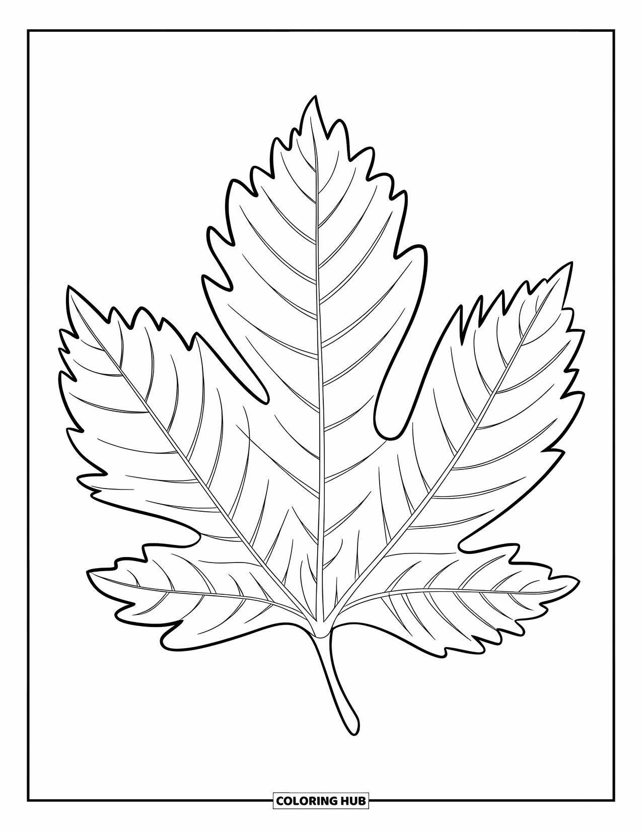 Fall Leaves Coloring Page for Kids: A five-lobed chestnut leaf spreads from a twig on a white canvas