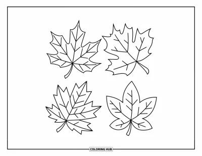 Coloriage de feuilles d'automne pour enfants : Une composition carrée amusante présente quatre feuilles aux formes et lignes nettes