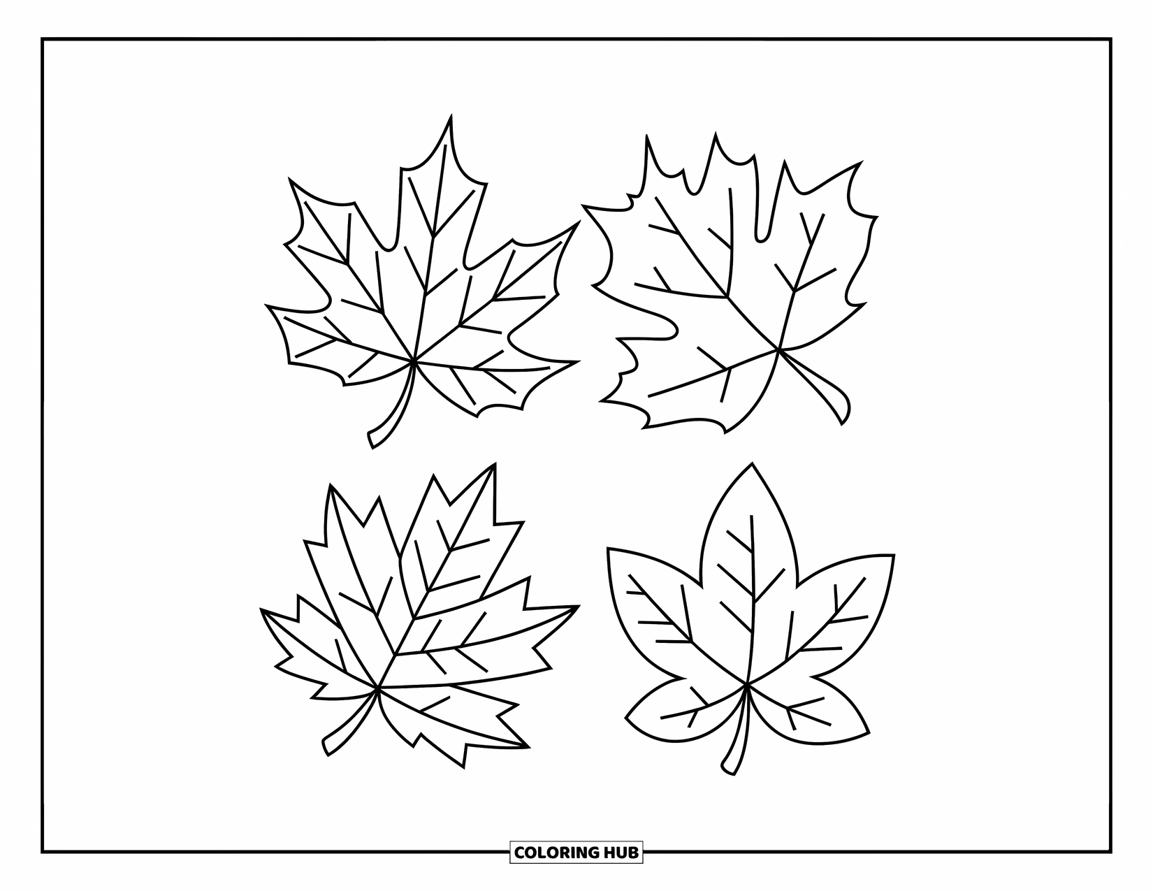 Fall Leaves Coloring Page for Kids: A fun square layout displays four leaves with crisp shapes and lines
