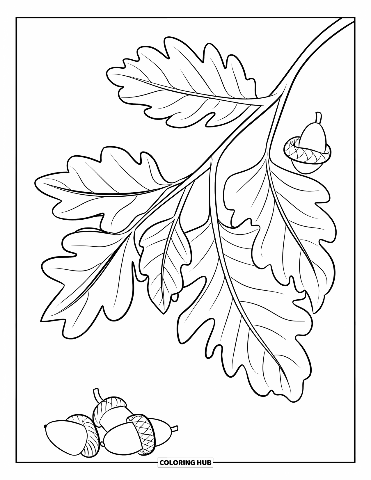 Fall Leaves Coloring Page for Kids: A leafy branch hovers above acorns resting on the ground below