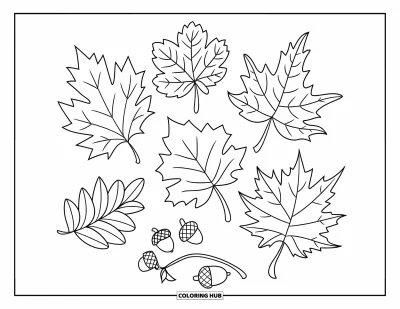 Coloriage de feuilles d'automne pour enfants : Un demi-cercle de feuilles d'automne et de petits glands composent ce motif automnal bien net