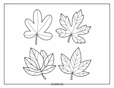 Coloriage de feuilles d'automne pour enfants : Une grille carrée présente quatre feuilles d'automne aux détails singuliers