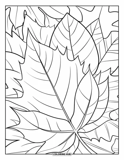 Coloriage de feuilles d'automne pour enfants : Un trio de feuilles empilées de formes et tailles variées repose tranquillement ensemble