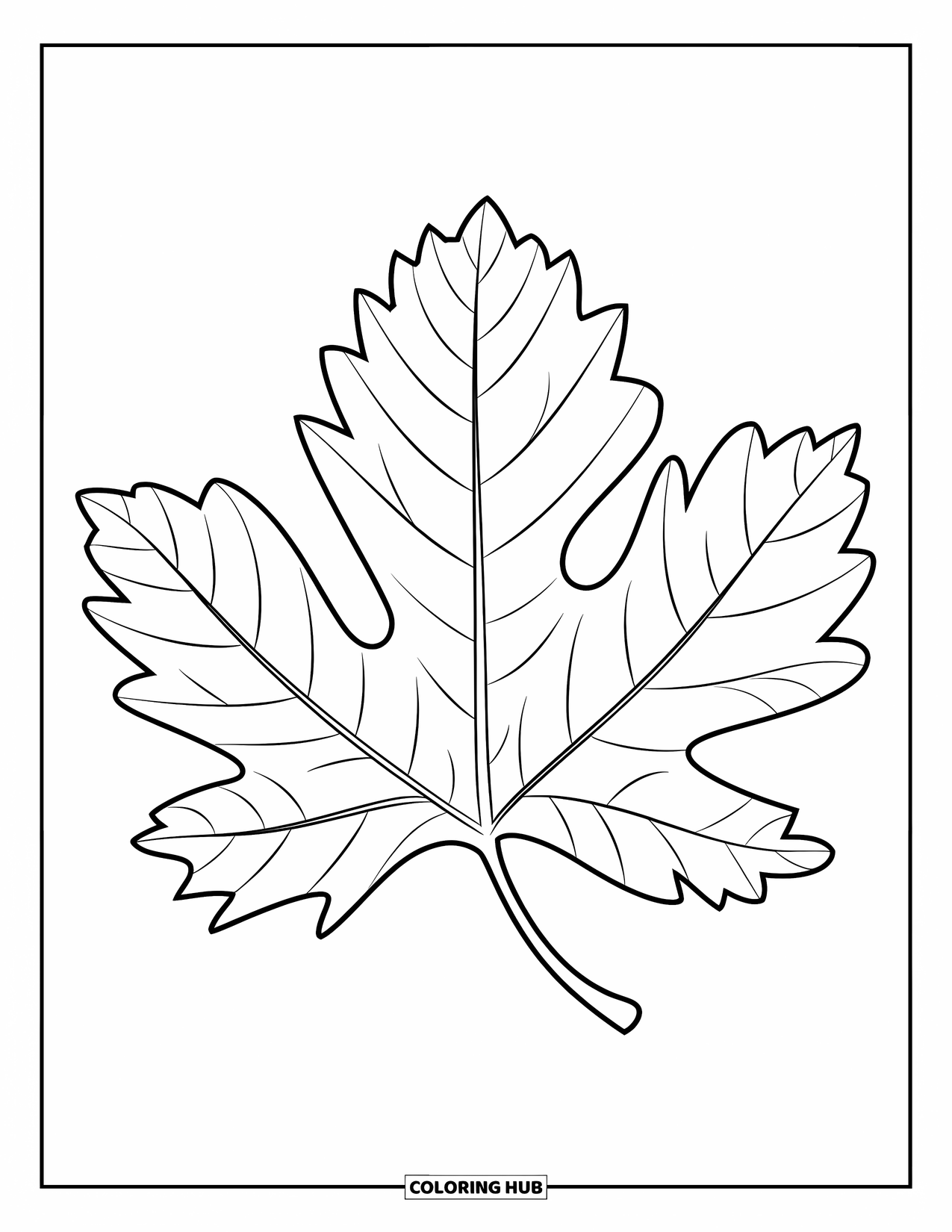 Fall Leaves Coloring Page for Kids: Five-lobed chestnut leaf sits boldly outlined against a quiet background