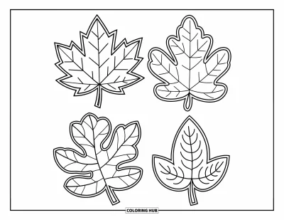 Coloriage de feuilles d'automne pour enfants : Quatre feuilles d'automne différentes sont disposées en un motif carré bien ordonné