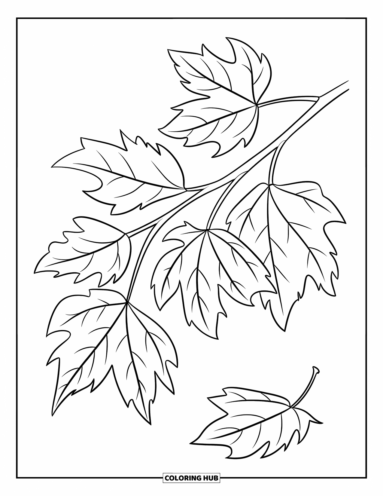 Fall Leaves Coloring Page for Kids: Multiple fall leaves hang from a bare branch, with one leaf drifting in mid-air