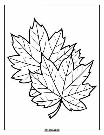 Coloriage de feuilles d'automne pour enfants : Trois grandes feuilles d'automne se superposent joyeusement avec des lignes bien marquées