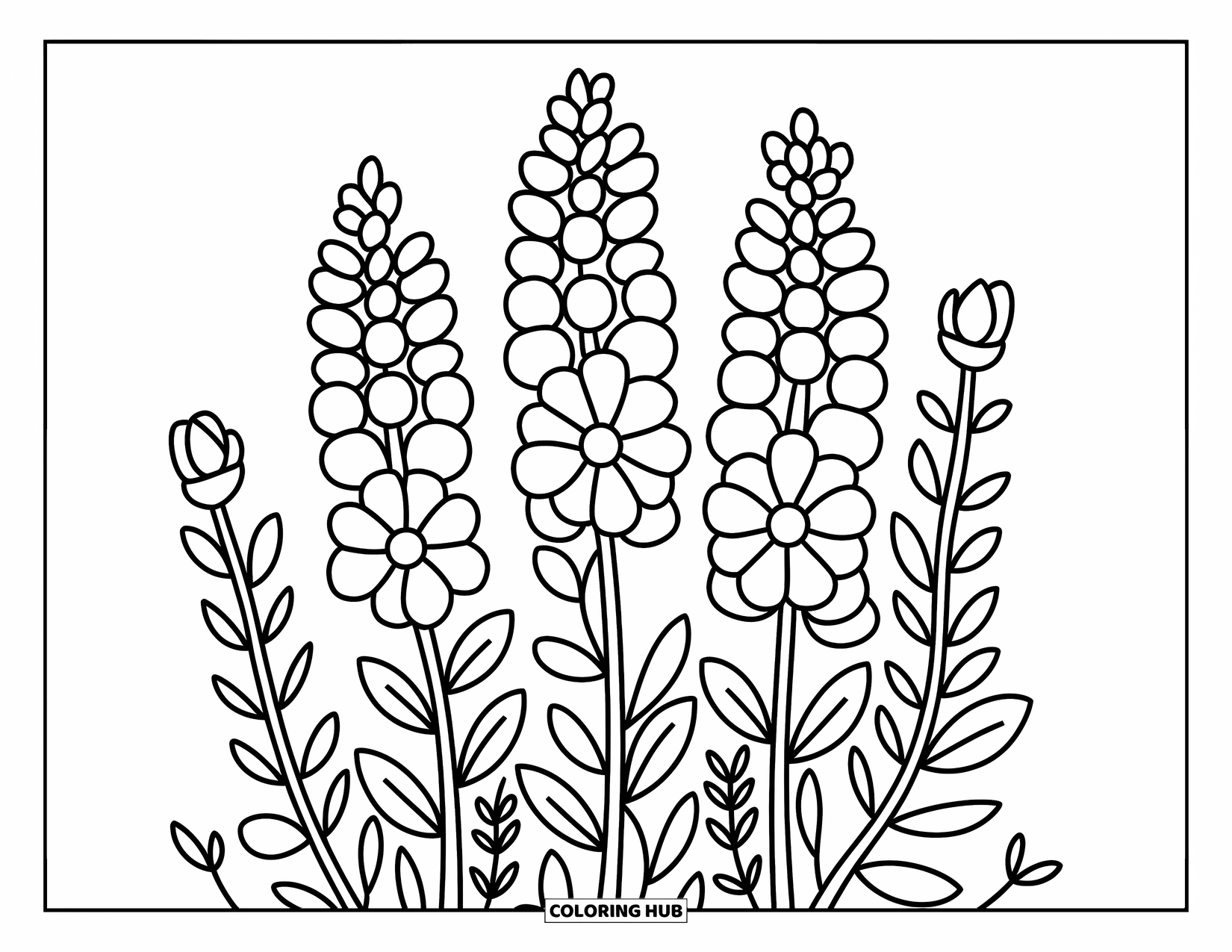 Flower Bouquet Coloring Page for Adults: Backyard-style bouquet with tall blooms, round petals, and tiny buds up front