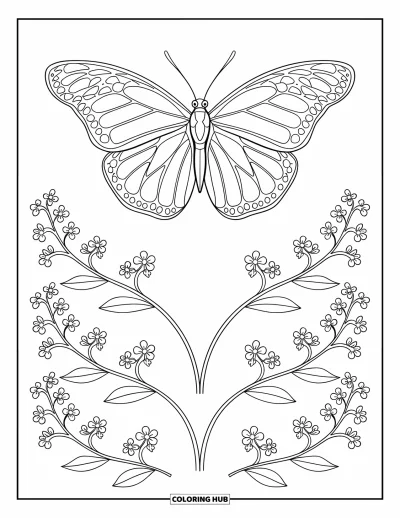 Desenho de flores e borboletas para colorir para adultos: Uma borboleta repousa em hastes delicadas cobertas de pequenas flores
