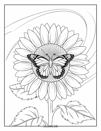 Desenho de flores e borboletas para colorir para adultos: Uma borboleta senta em um girassol com pÃ©talas enroladas ao vento