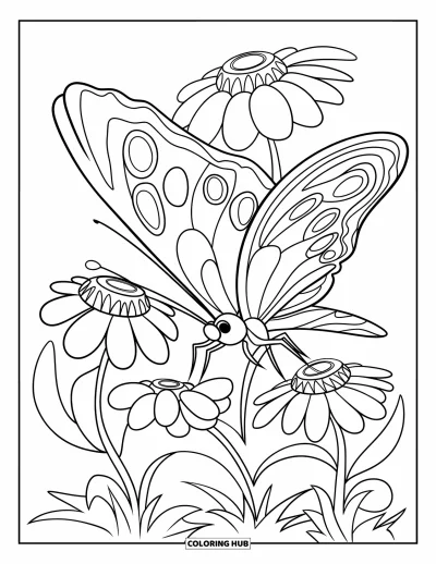 Desenho de flores e borboletas para colorir para crianÃ§as: Uma borboleta e flores desabrocham juntas em um cantinho tranquilo do jardim