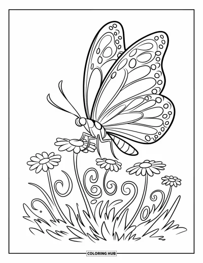 Desenho de flores e borboletas para colorir para crianÃ§as: Uma borboleta danÃ§a sobre margaridas dispostas em um pequeno cÃ­rculo divertido