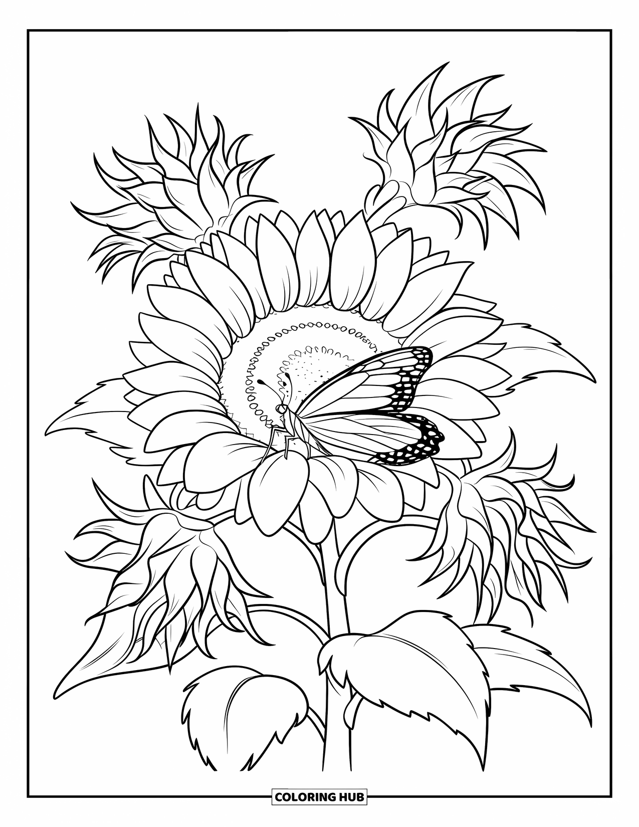 Flower Butterfly Coloring Page for Kids: A butterfly lands on a bright sunflower surrounded by leafy clusters