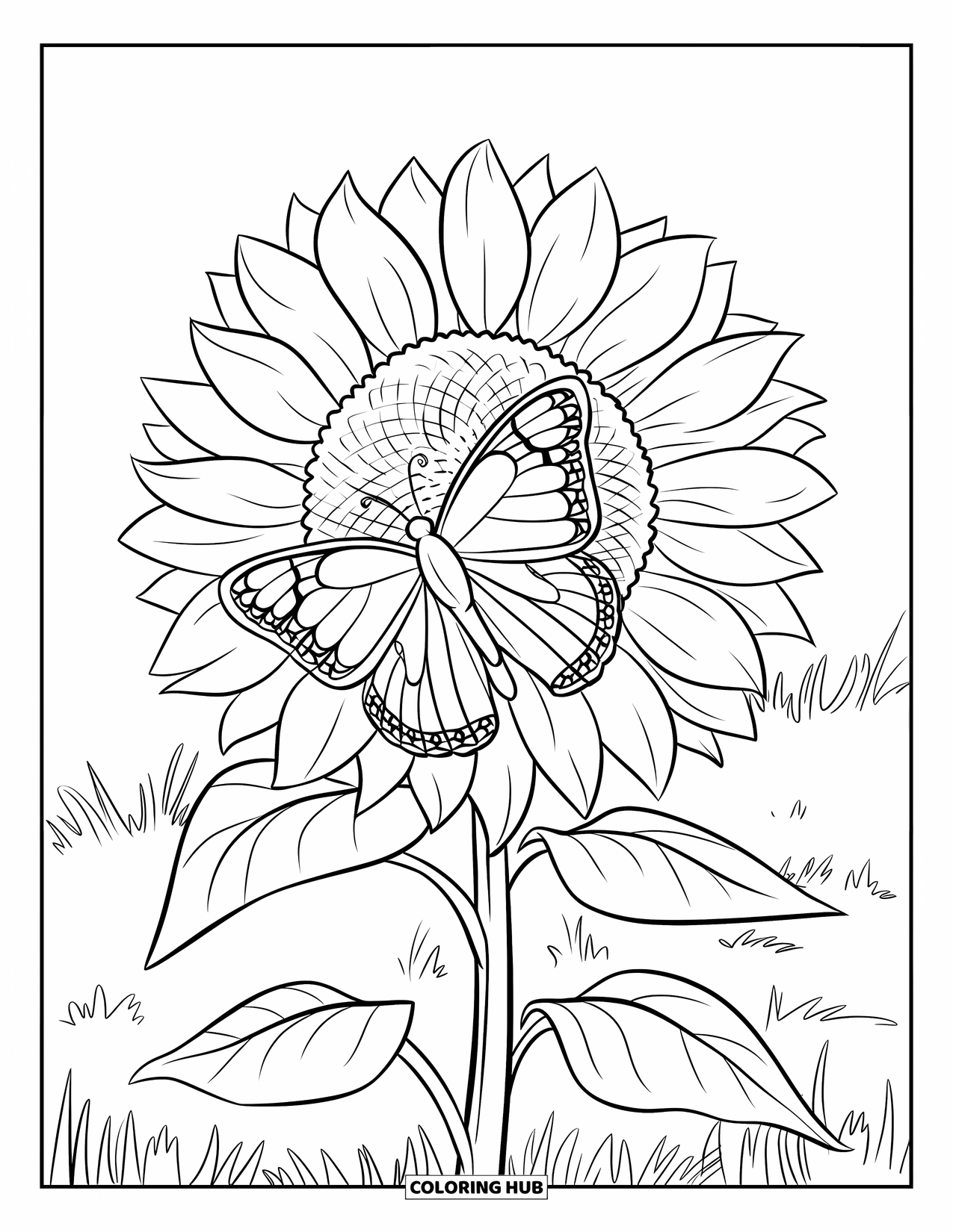 Flower Butterfly Coloring Page for Kids: A butterfly with patterned wings rests on a sunflower in a peaceful field
