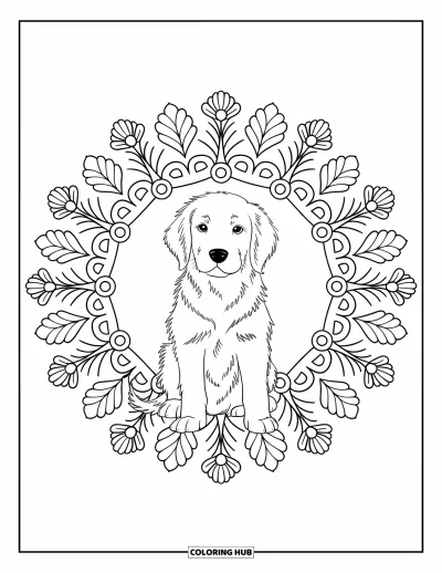 Desen de colorat cu pui de Golden Retriever pentru adulți: Cățeluș calm stând în centrul unei mandale botanice mari pe fundal alb