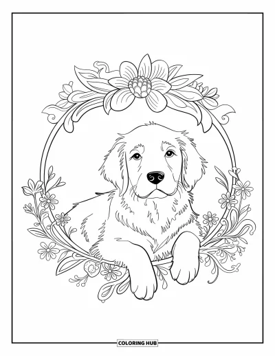 Desen de colorat cu pui de Golden Retriever pentru adulți: Cățeluș liniștit odihnindu-se într-un cerc de flori cu contururi clare